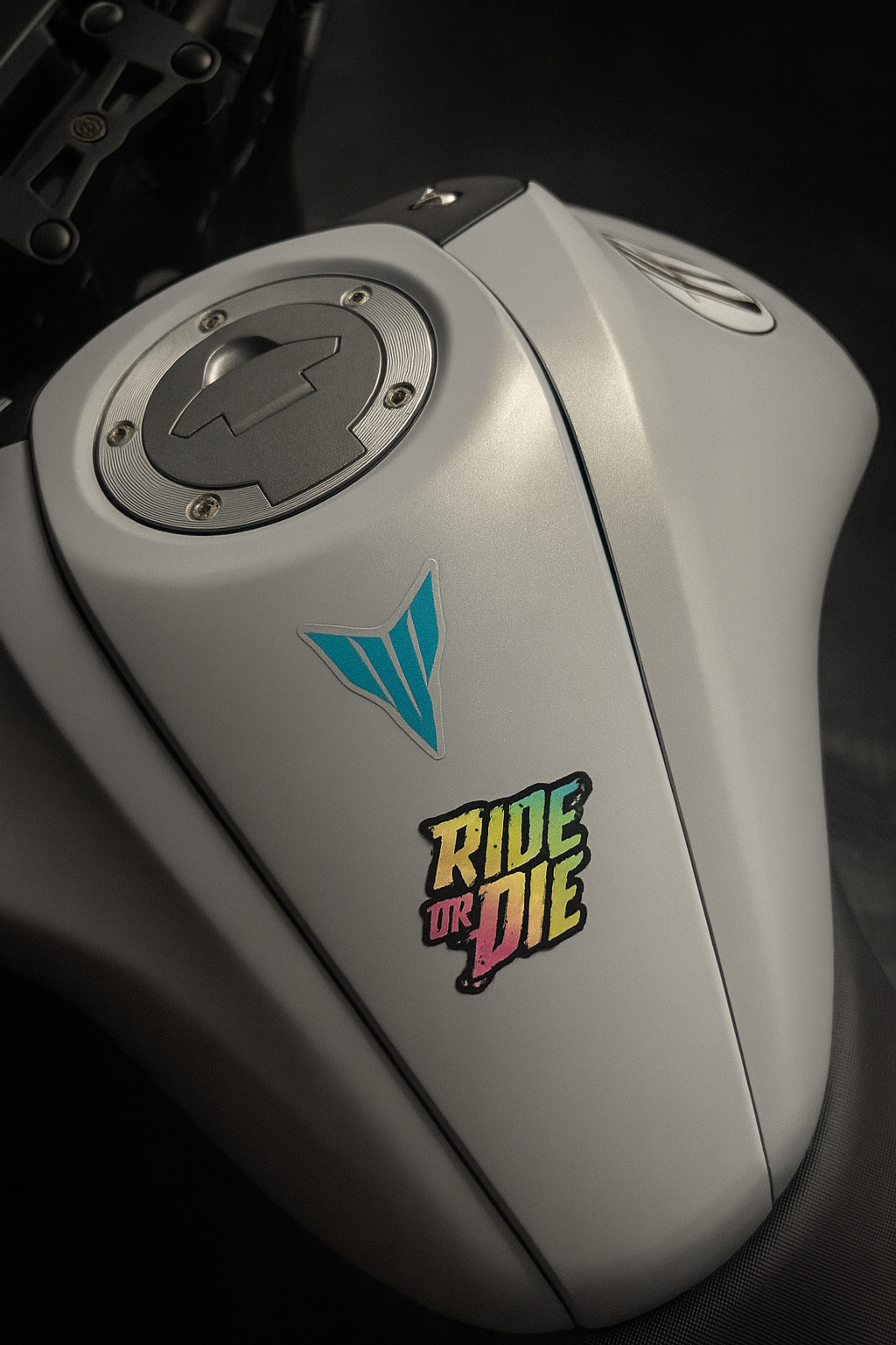 Ride or Die Motorcycle Decal – Multicolour Edition